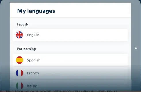 Different Languages Supported