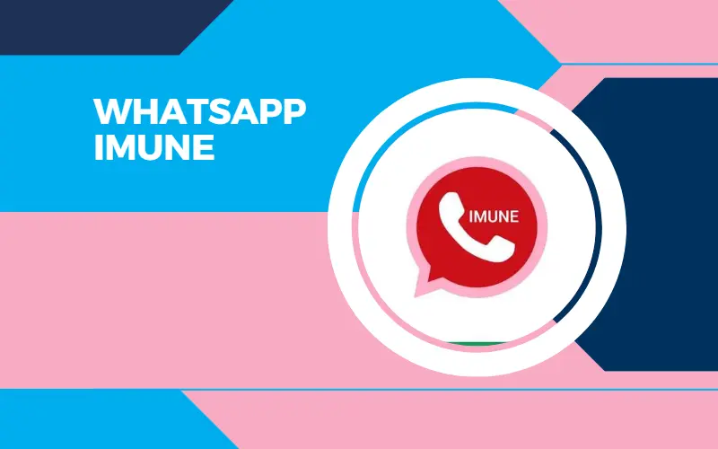 WhatsApp IMUNE