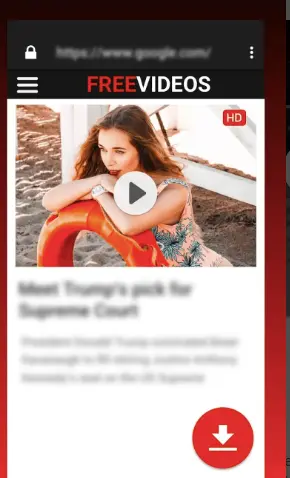 Widely used video downloaders