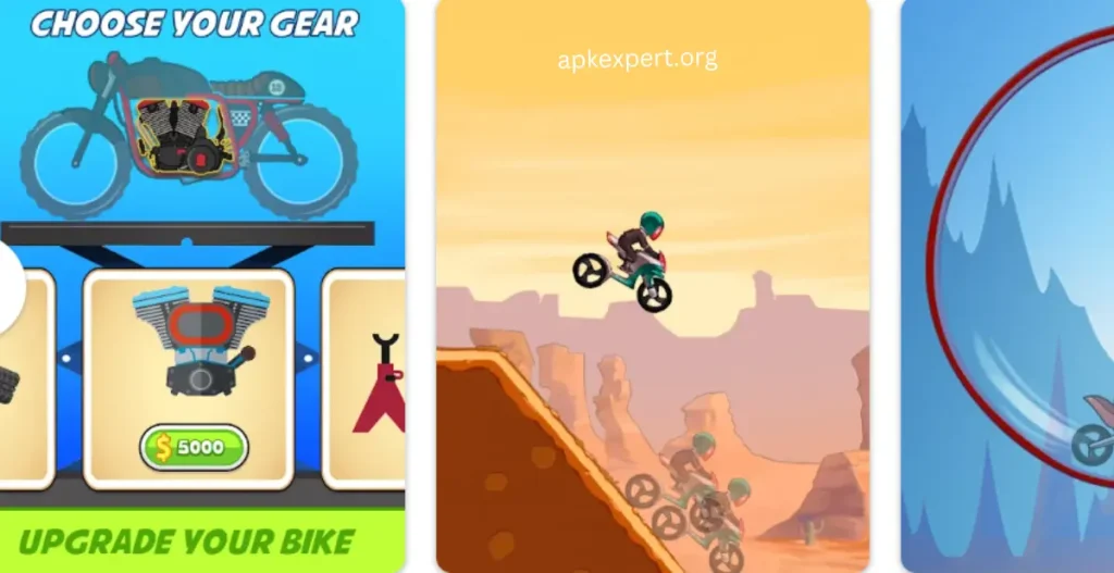 amazing bicycles
